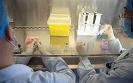 Bộ Y tế dự trù 4 tình huống phòng chống cúm A/H7N9
